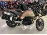 2021 Moto Guzzi V85 for sale 201186369